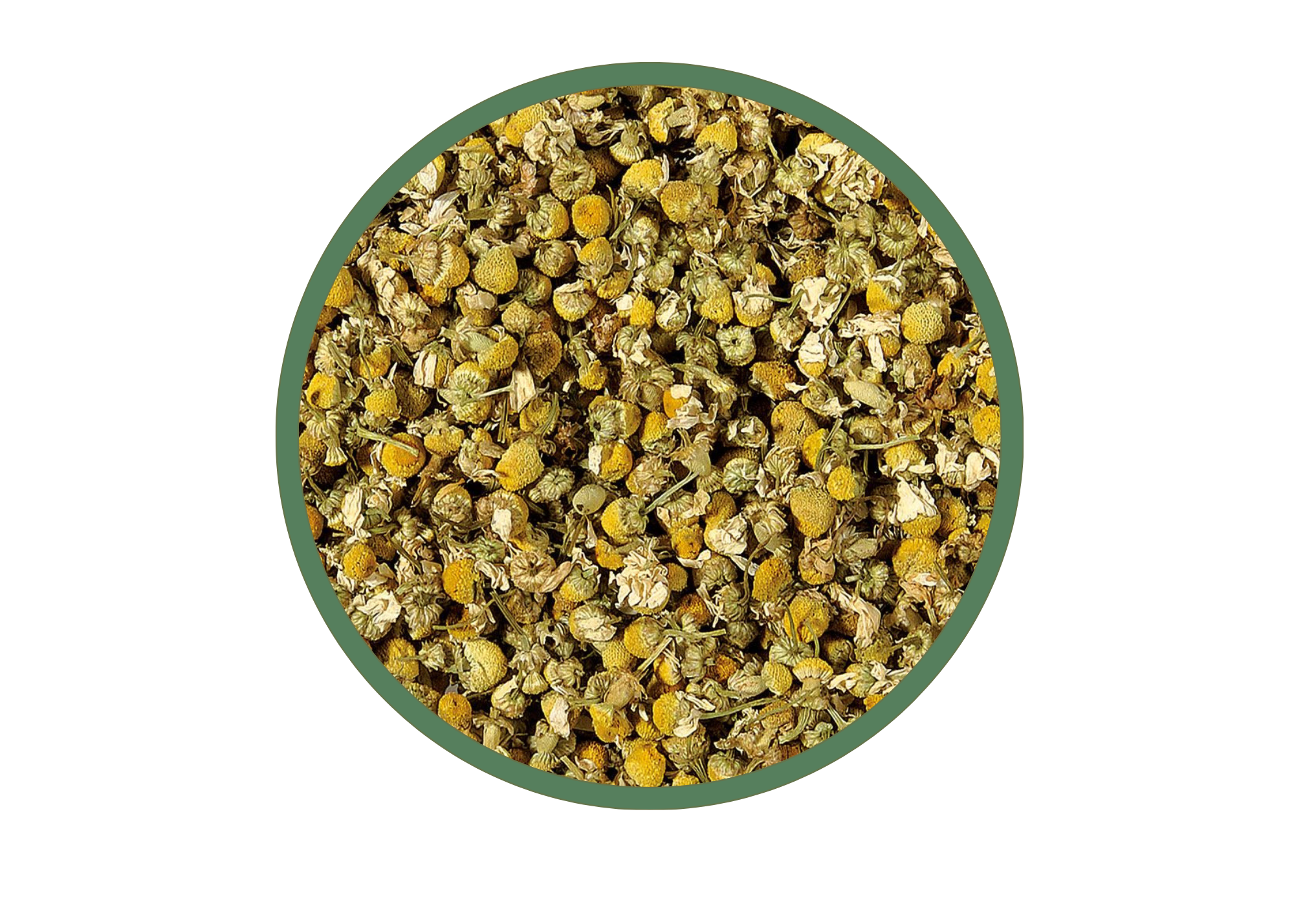 Chamomile