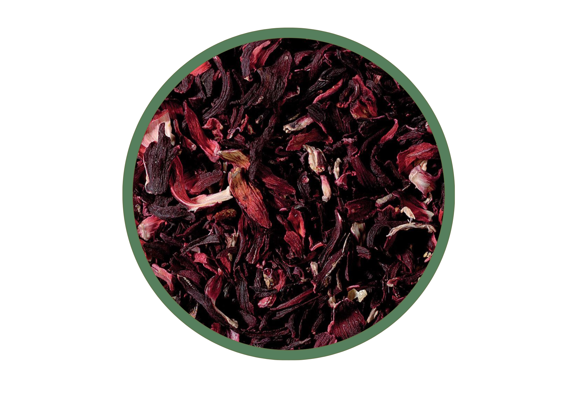 Hibiscus