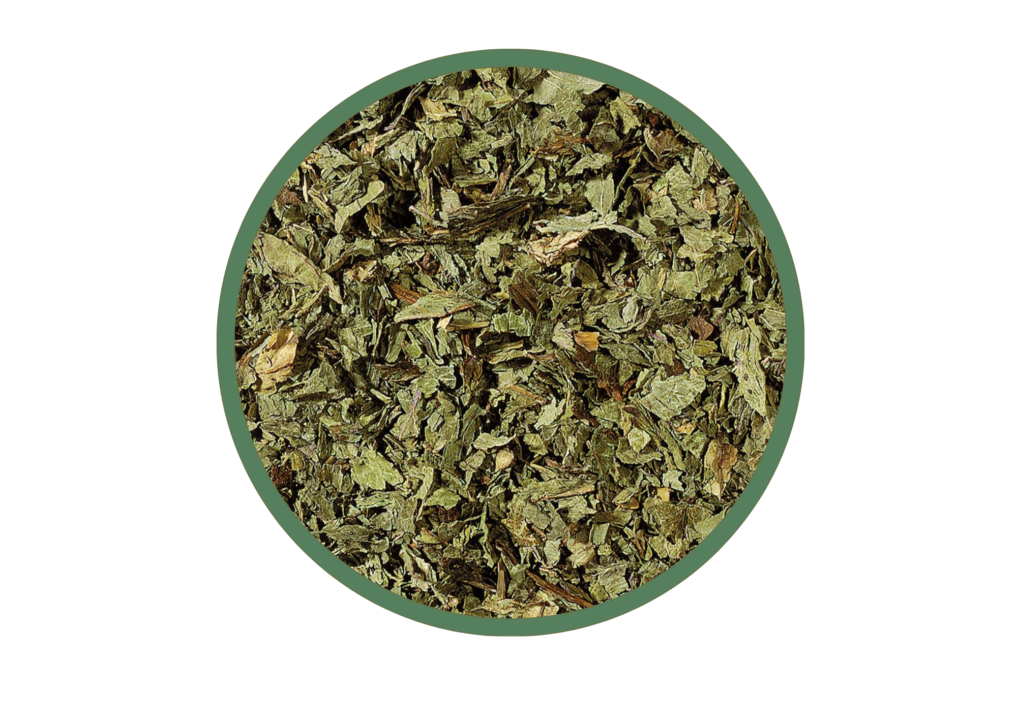 Peppermint