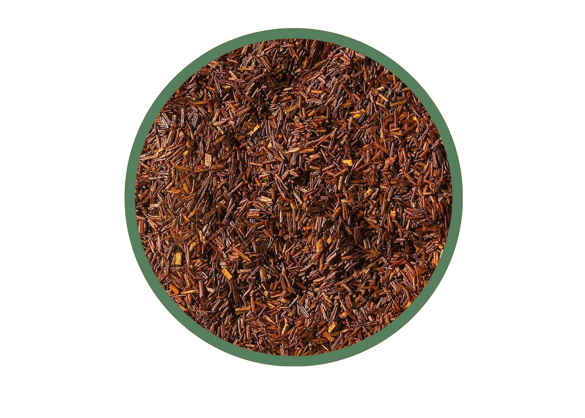 Rooibos