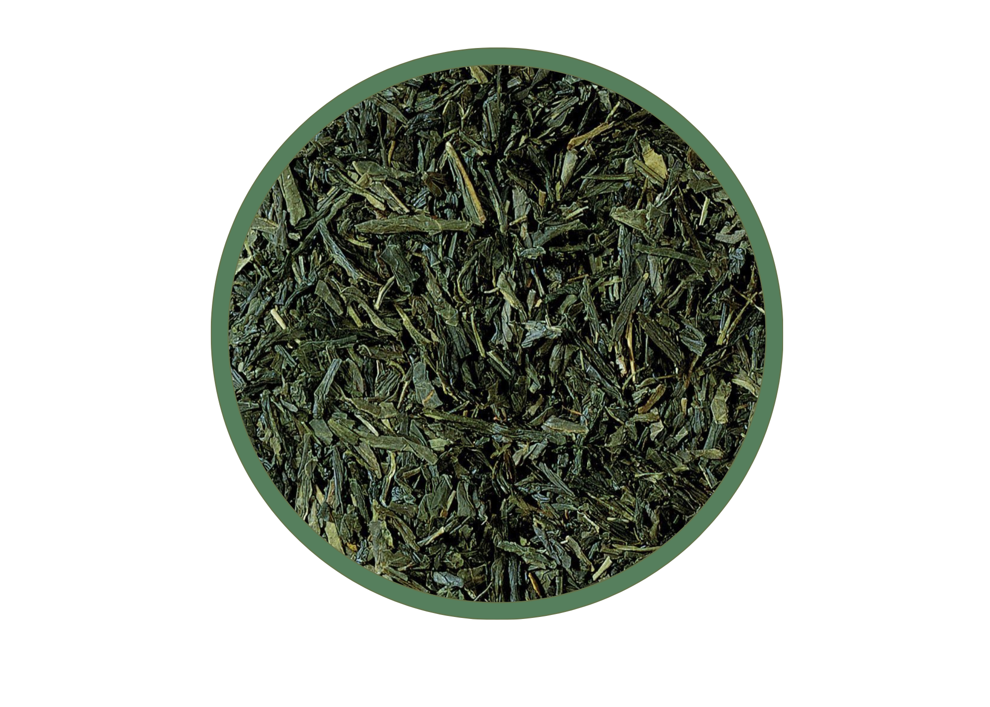 Sencha