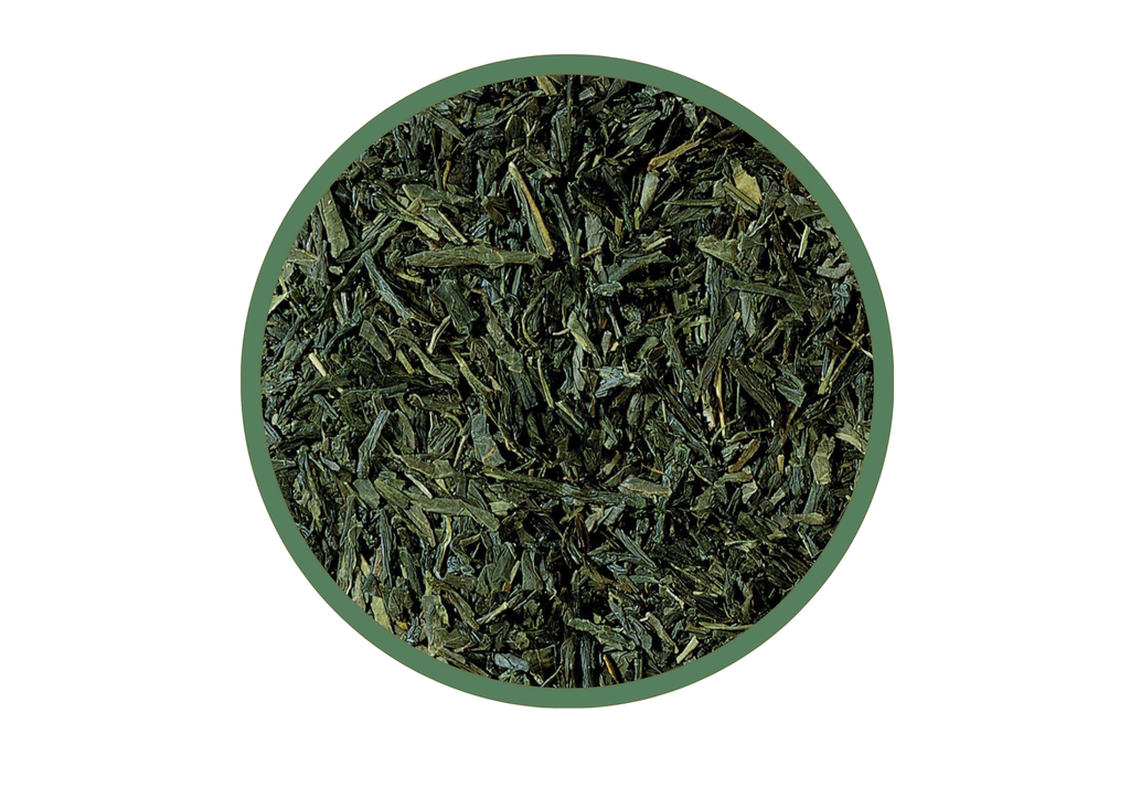 Sencha