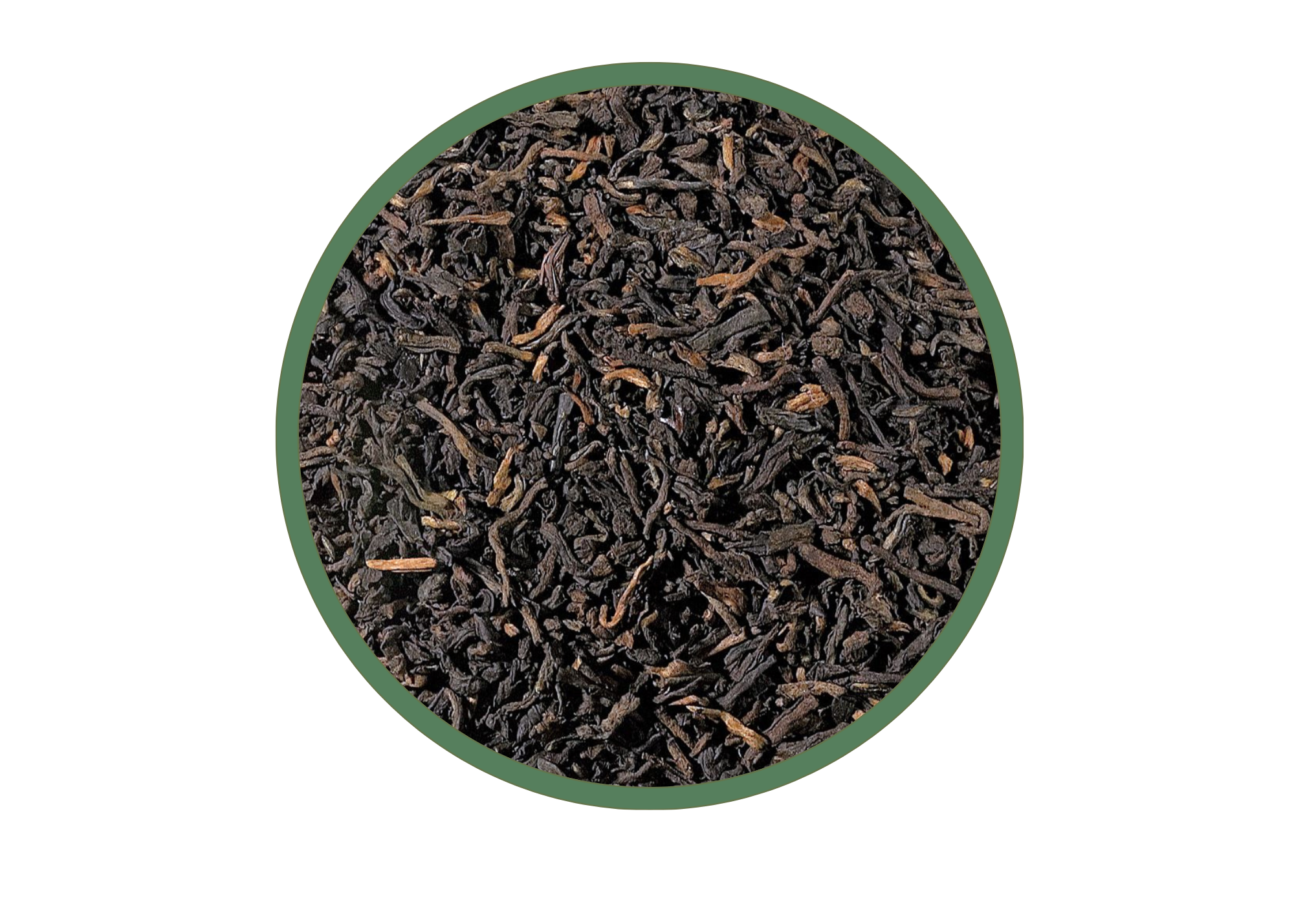 Yunnan Leaf